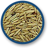 oats-icon